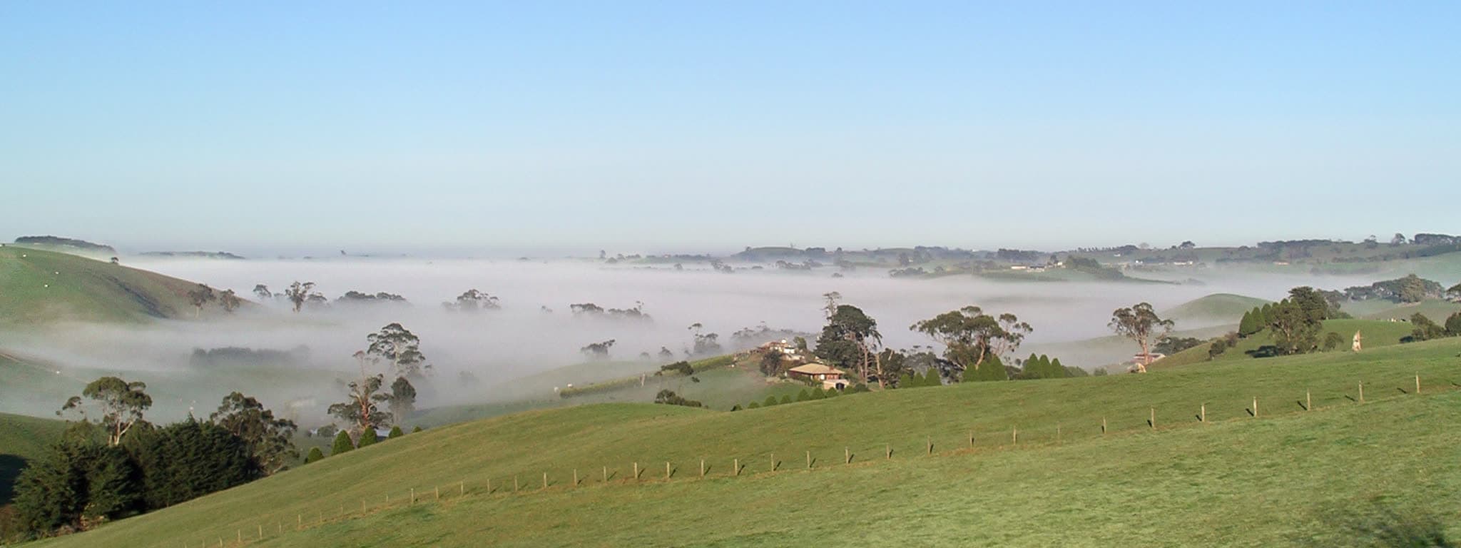 Farmland in the South Gippsland hills on a misty morning