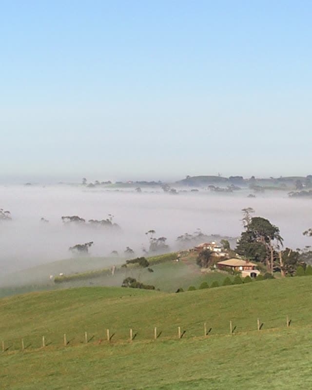 Farmland in the South Gippsland hills on a misty morning