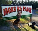 Jack's K9 Place Boarding Kennels