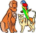 Adore All Pet Care Service